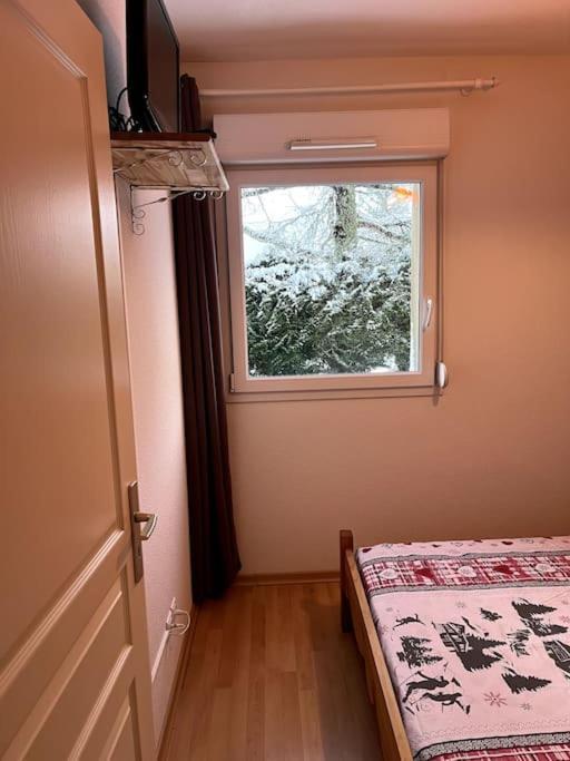 Le Petit Bonhomme De Neige Apartment Gérardmer Exterior foto